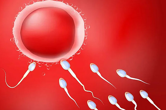 第一代试管婴儿包生男孩价格揭秘-试管婴儿第一代男孩多还是女孩多